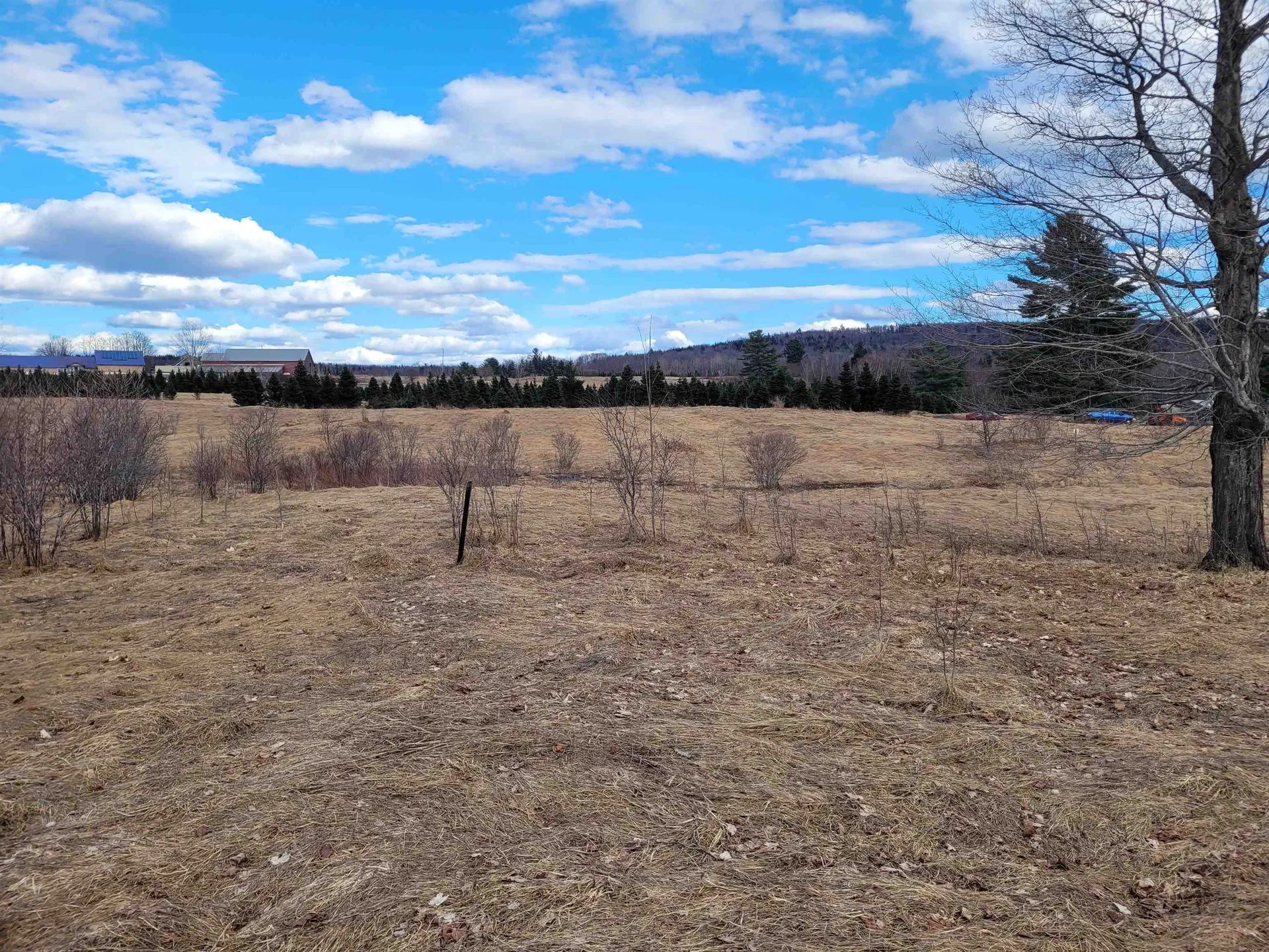0 Lot 3 Emzaga Drive Williamstown VT 05679