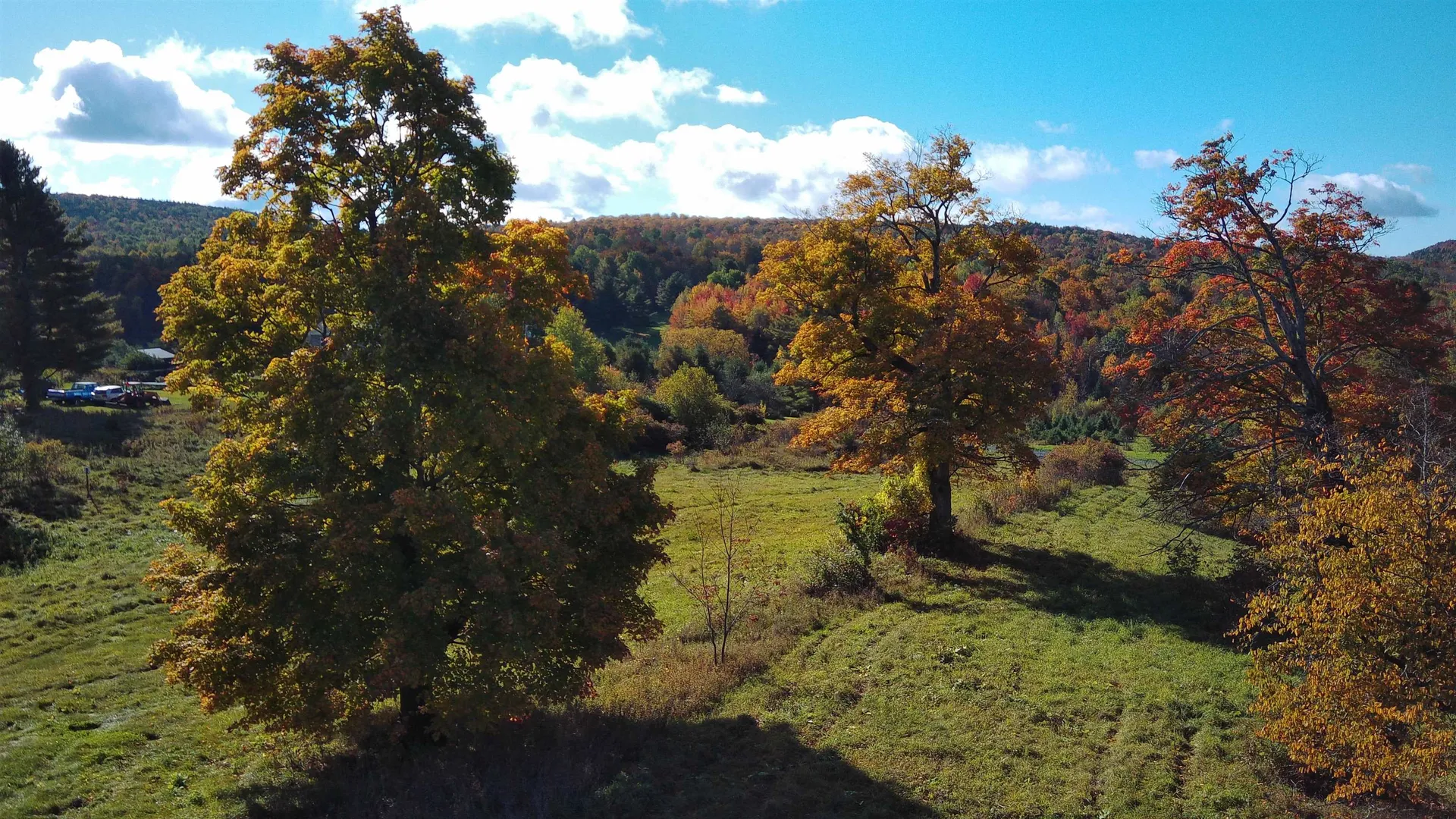 0 Lot 3 Emzaga Drive Williamstown VT 05679