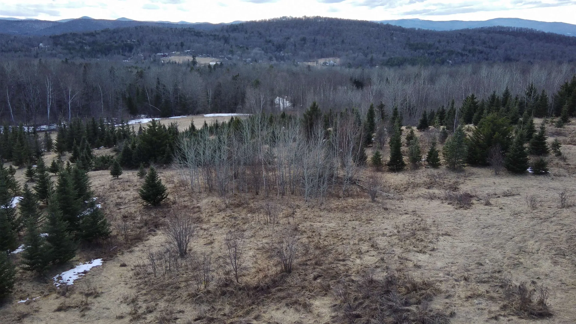 0 Lot 3 Emzaga Drive Williamstown VT 05679