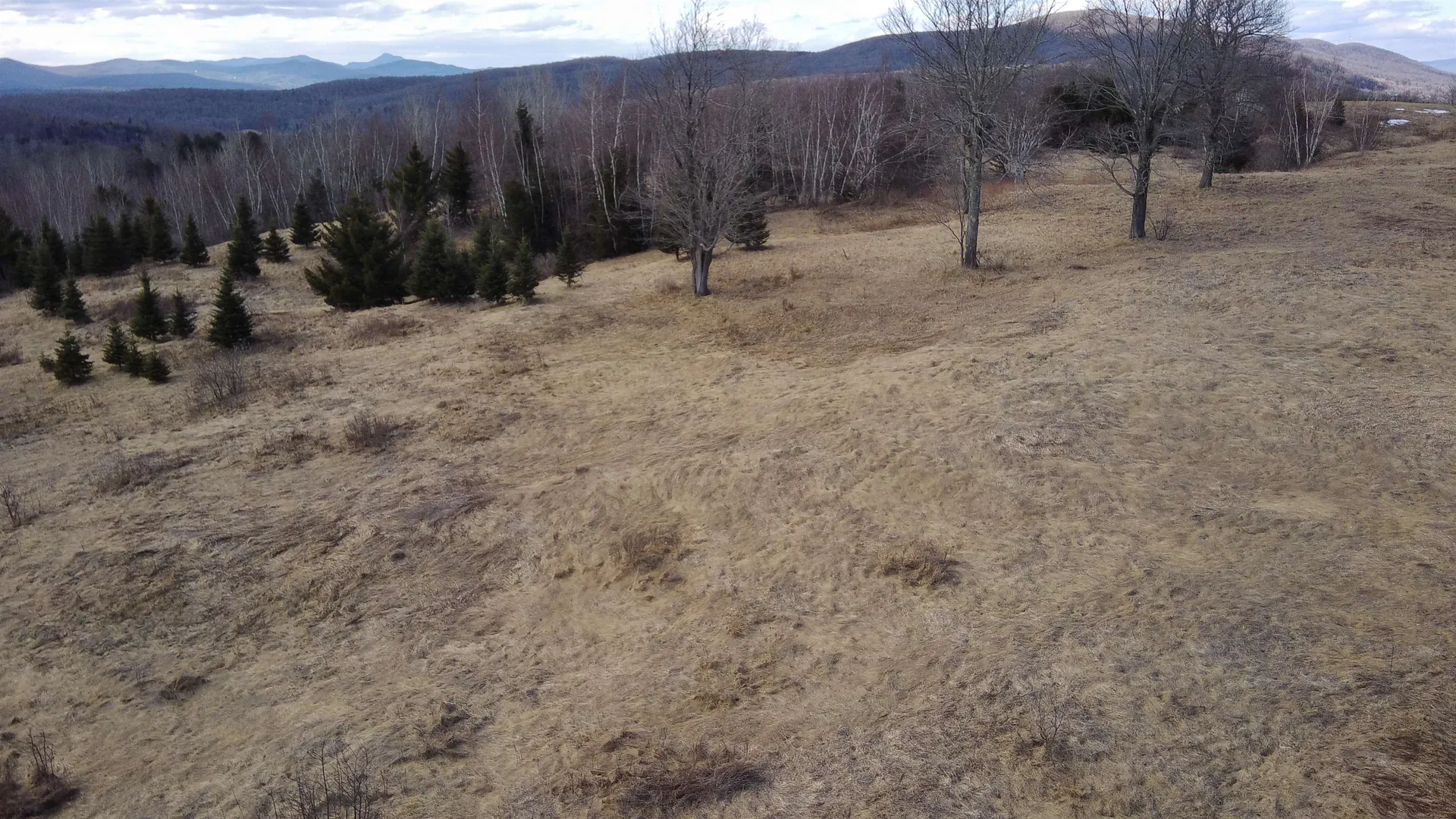 0 Lot 3 Emzaga Drive Williamstown VT 05679