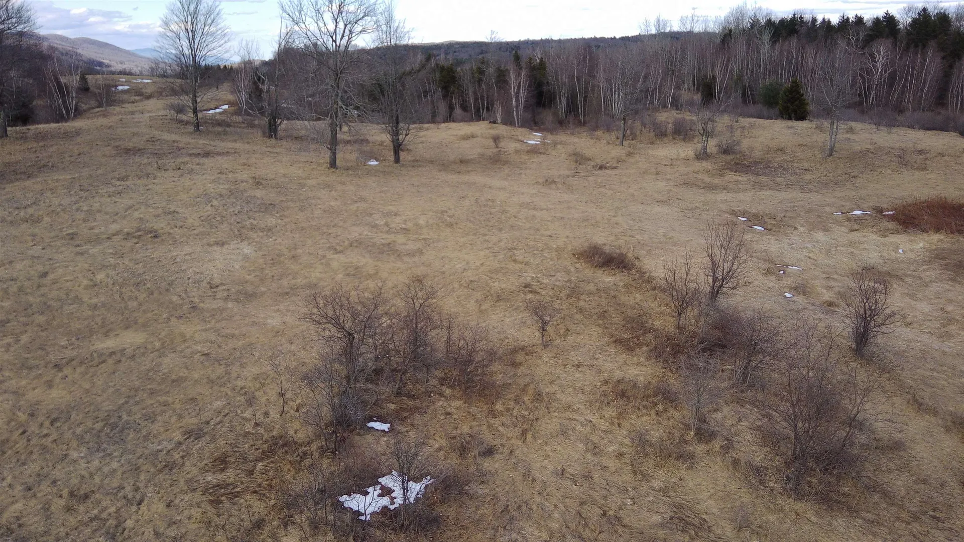 0 Lot 3 Emzaga Drive Williamstown VT 05679