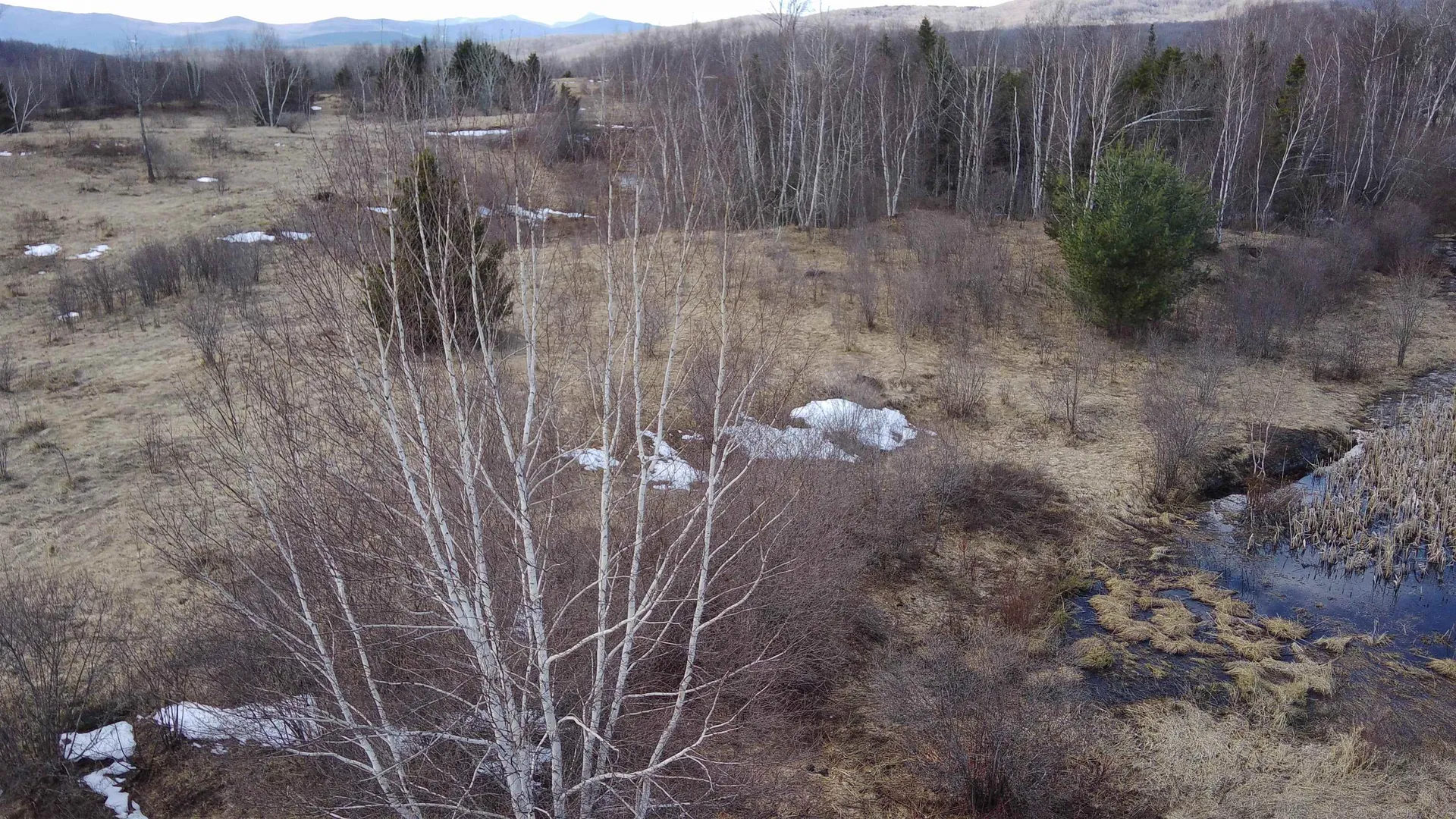 0 Lot 3 Emzaga Drive Williamstown VT 05679