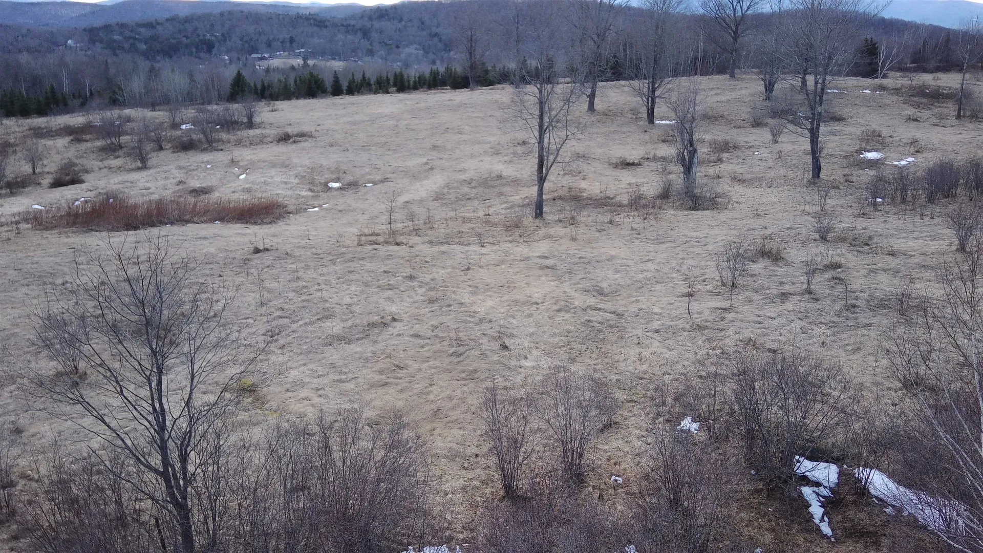 0 Lot 3 Emzaga Drive Williamstown VT 05679