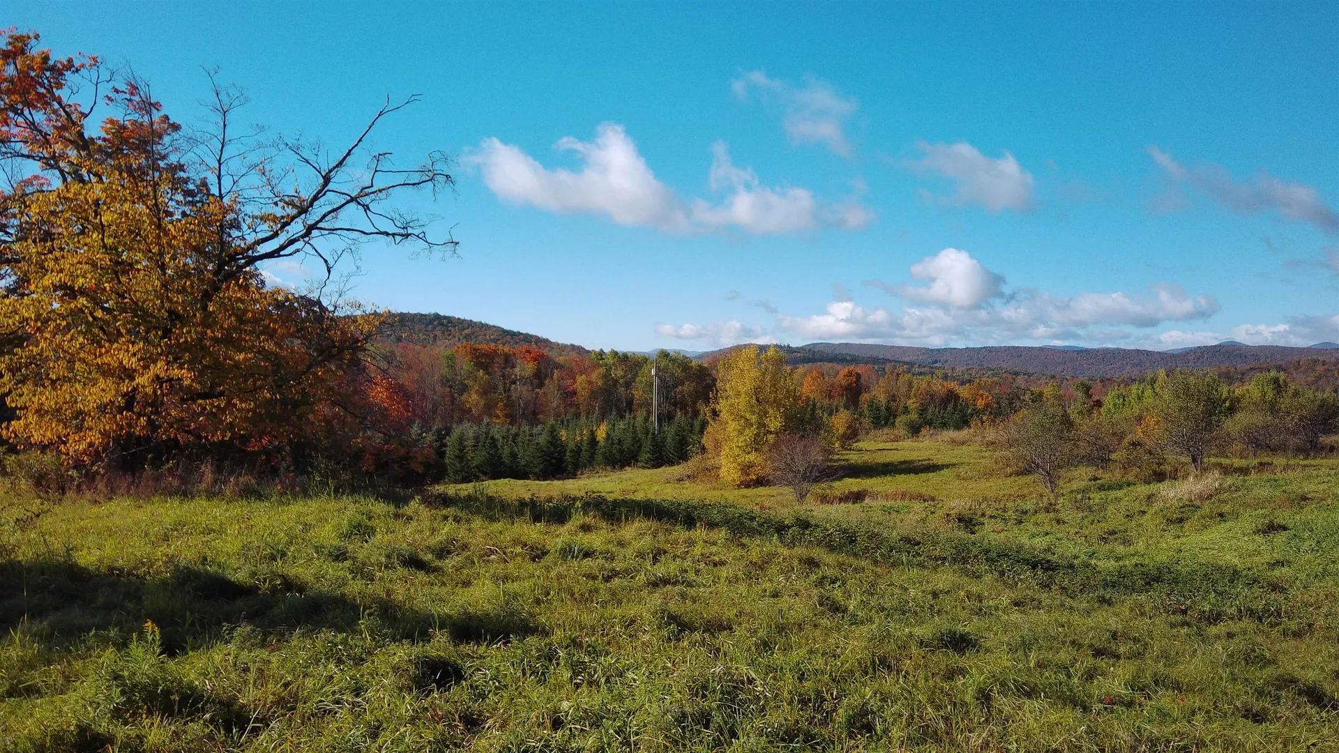 0 Lot 3 Emzaga Drive Williamstown VT 05679