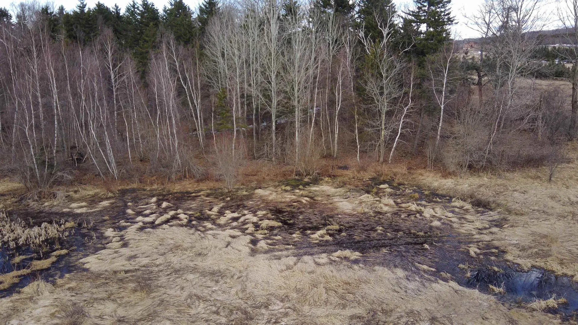 0 Lot 3 Emzaga Drive Williamstown VT 05679