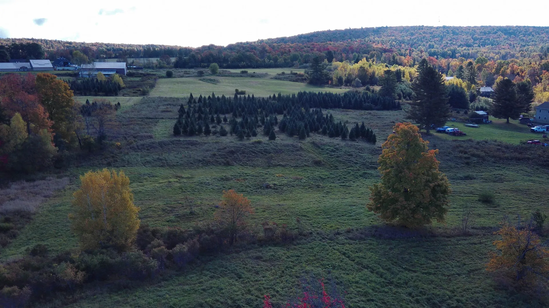 0 Lot 3 Emzaga Drive Williamstown VT 05679