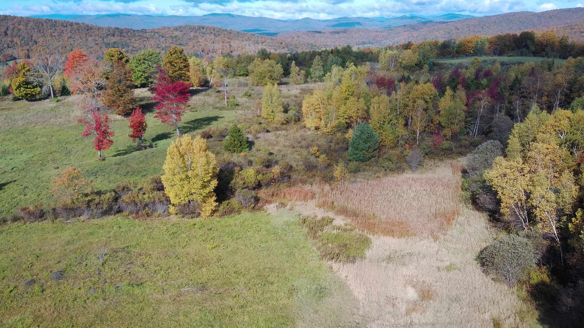 0 Lot 3 Emzaga Drive Williamstown VT 05679