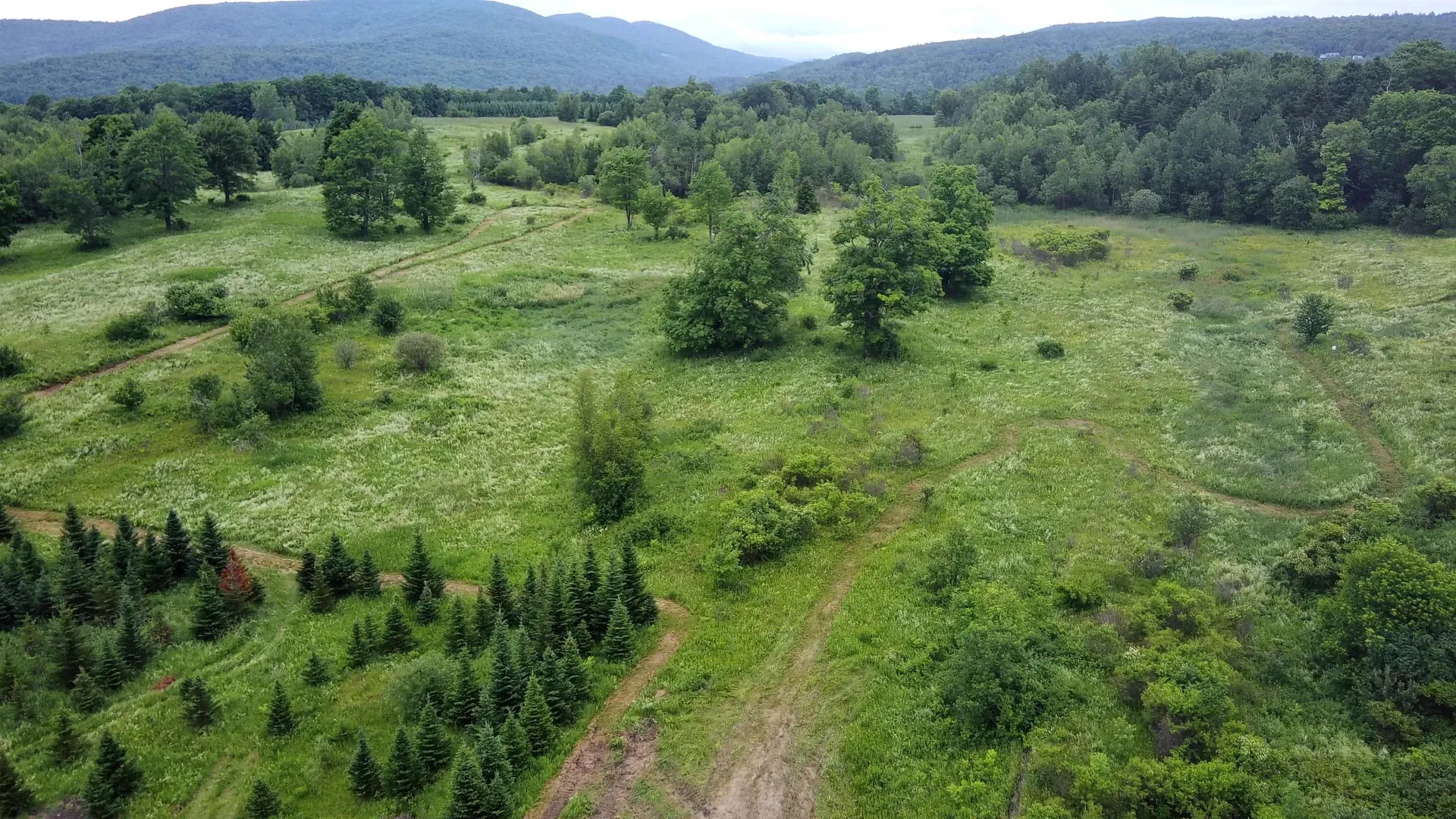0 Lot 3 Emzaga Drive Williamstown VT 05679