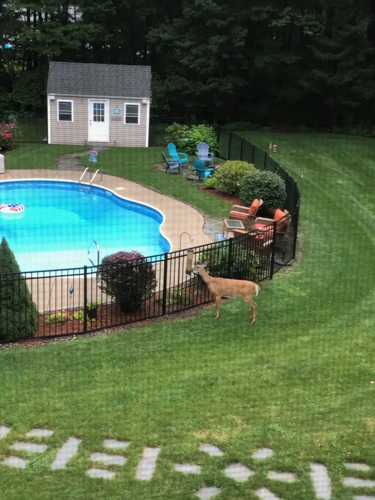 16 Hawthorne Drive Atkinson NH 03811