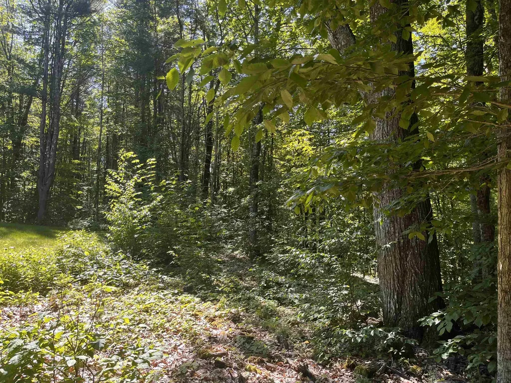 1236 Main Street Dublin NH 03444