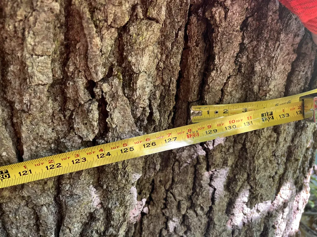 1236 Main Street Dublin NH 03444