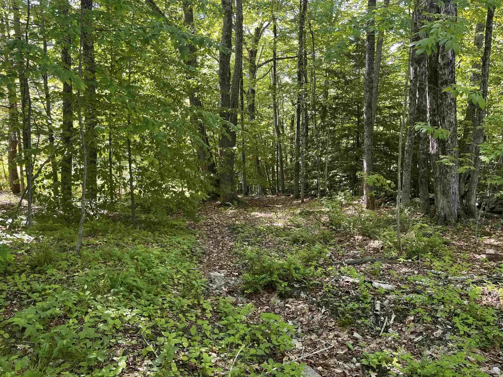 1236 Main Street Dublin NH 03444