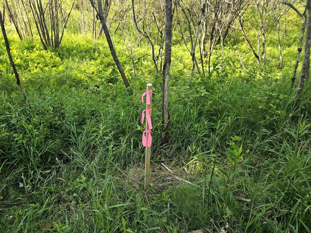 0 Appletree Lane Newport City VT 05855