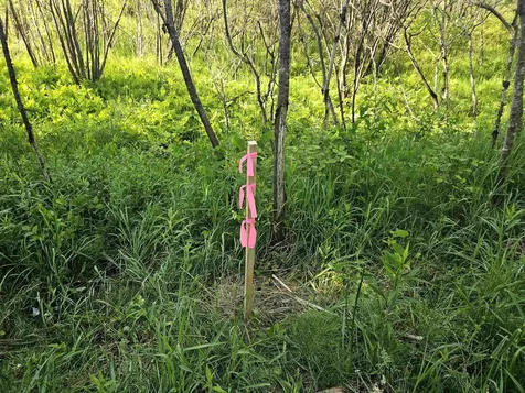 0 Appletree Lane Newport City VT 05855