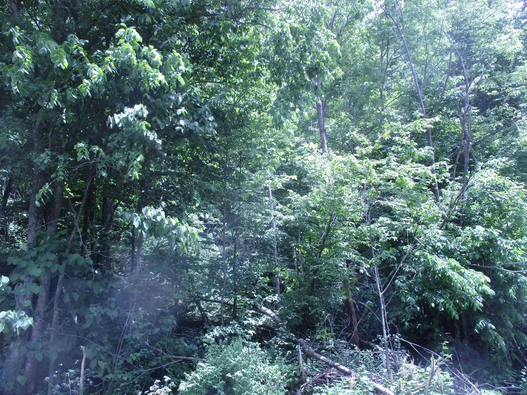 0 Vt Route 12a Braintree VT 05060