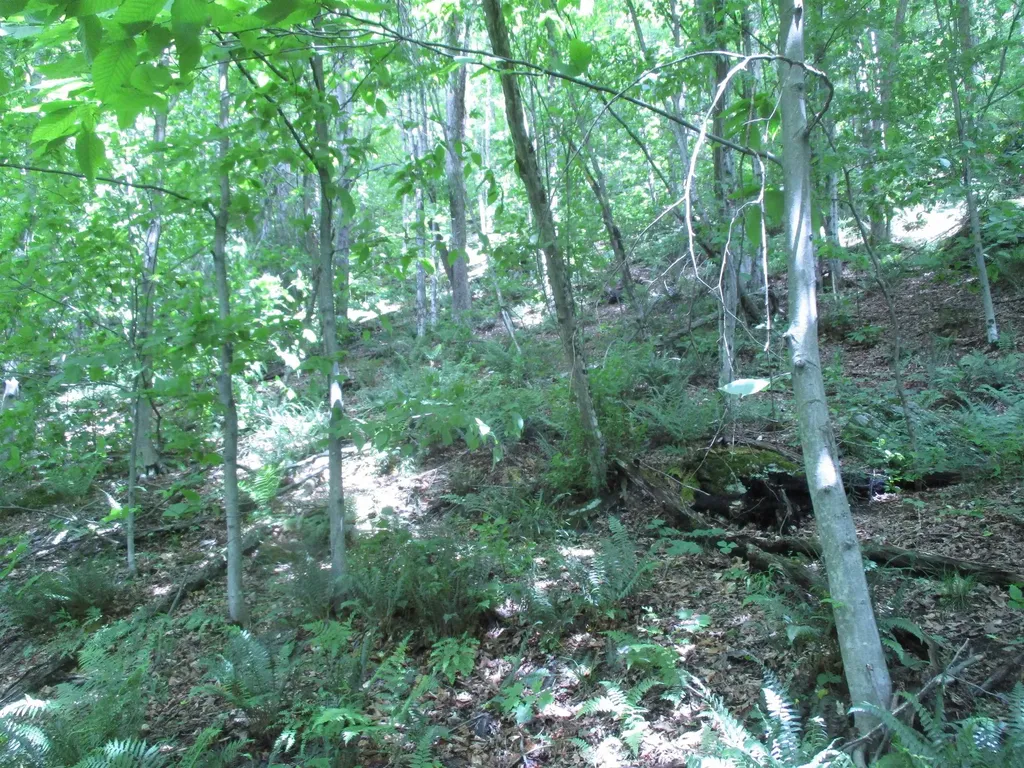 0 Vt Route 12a Braintree VT 05060