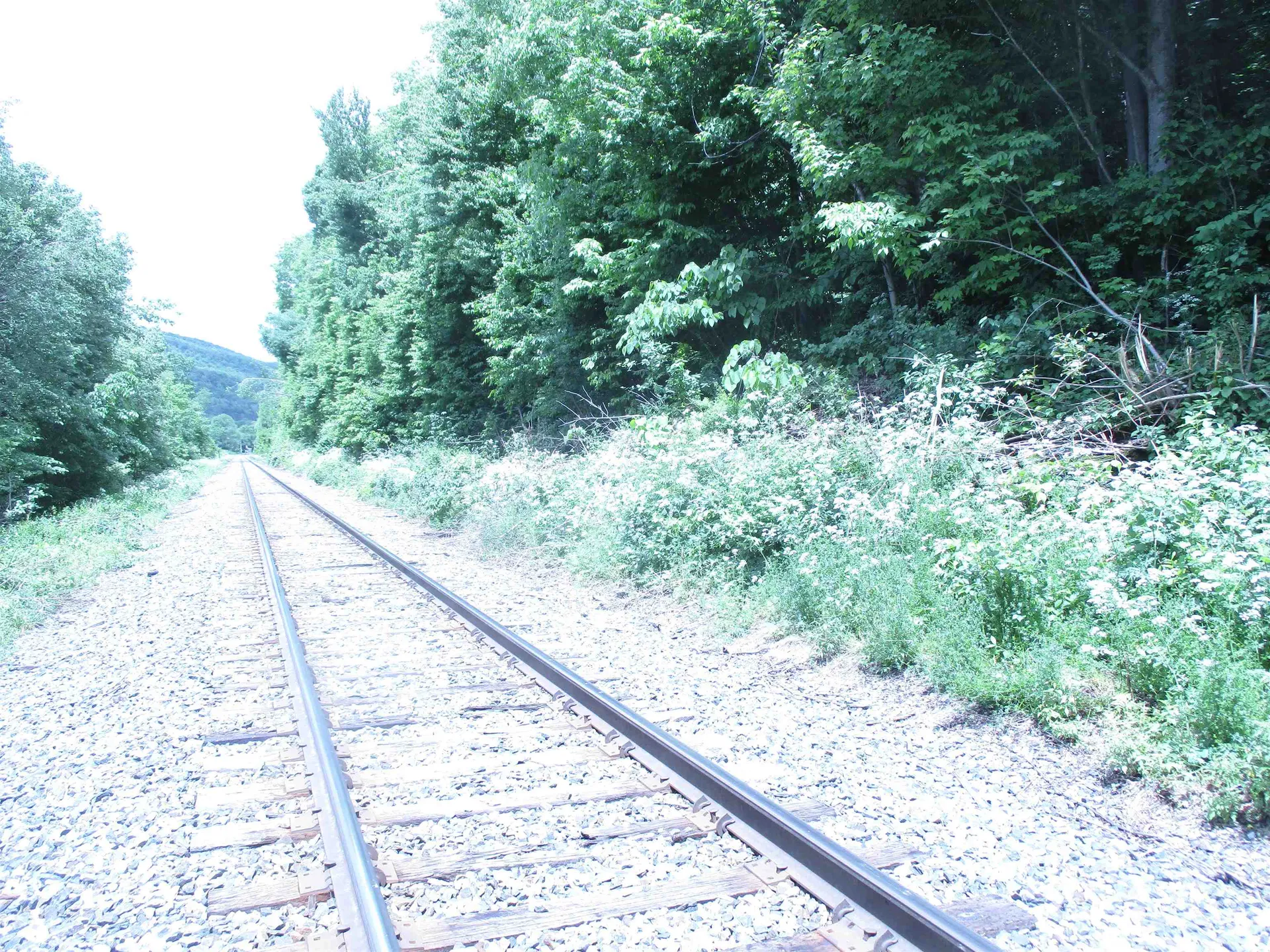 0 Vt Route 12a Braintree VT 05060