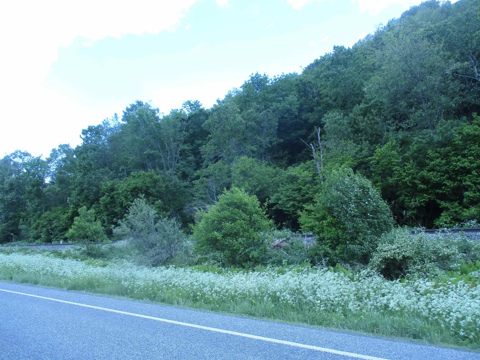 0 Vt Route 12a Braintree VT 05060