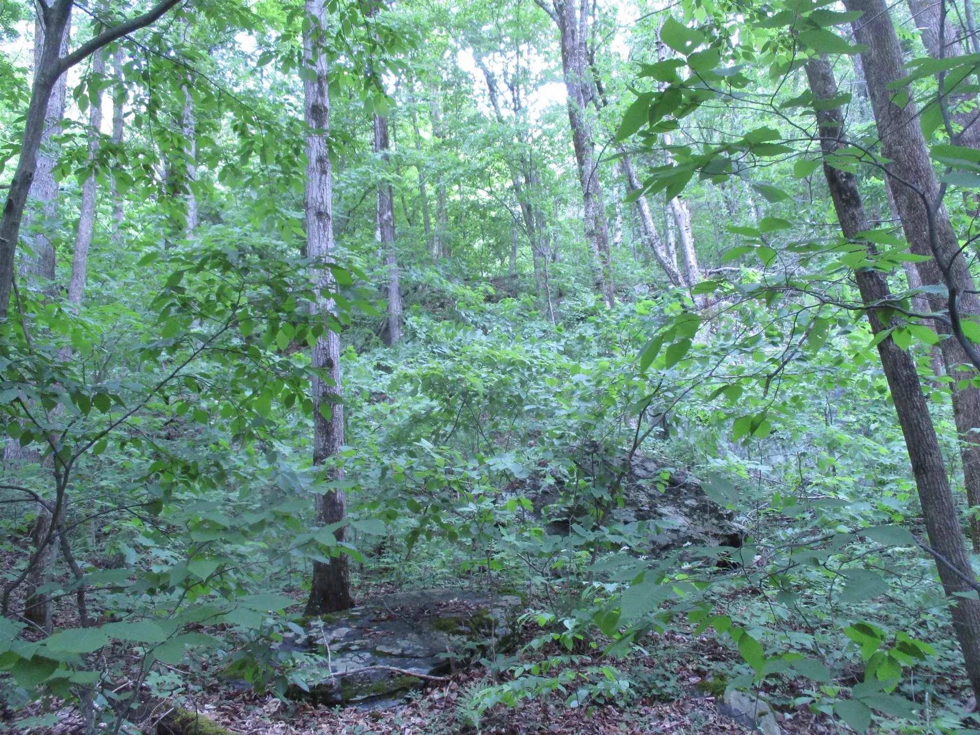 0 Vt Route 12a Braintree VT 05060