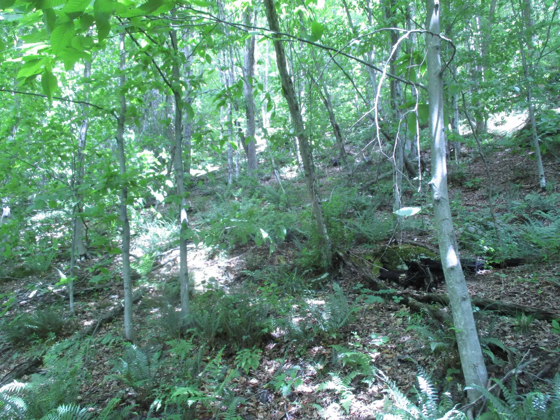 0 Vt Route 12a Braintree VT 05060