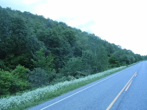 0 Vt Route 12a Braintree VT 05060
