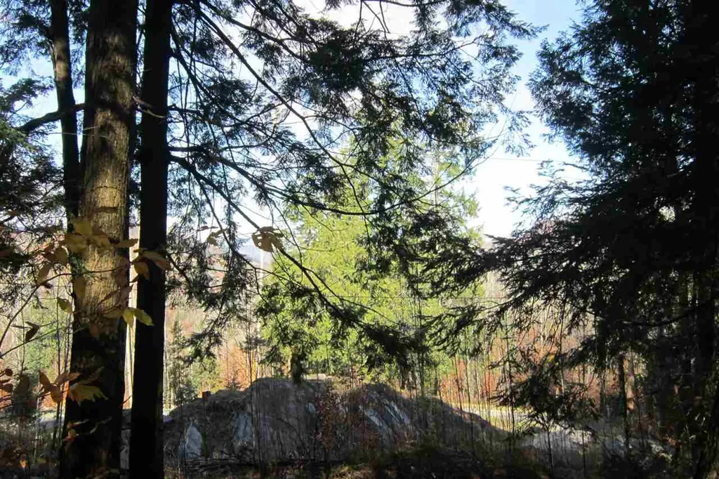 Lot 4 Echo View Drive Plymouth VT 05056