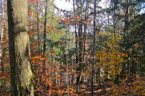 Lot 4 Echo View Drive Plymouth VT 05056