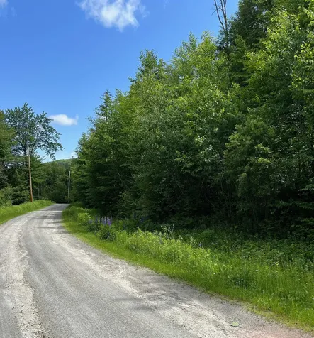 Lot 4 Echo View Drive Plymouth VT 05056