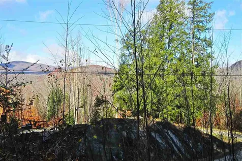 Lot 4 Echo View Drive Plymouth VT 05056
