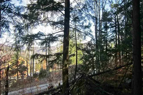 Lot 4 Echo View Drive Plymouth VT 05056