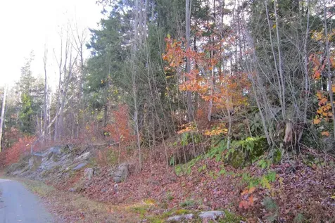 Lot 4 Echo View Drive Plymouth VT 05056