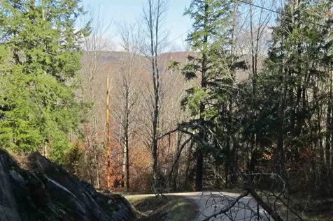 Lot 4 Echo View Drive Plymouth VT 05056