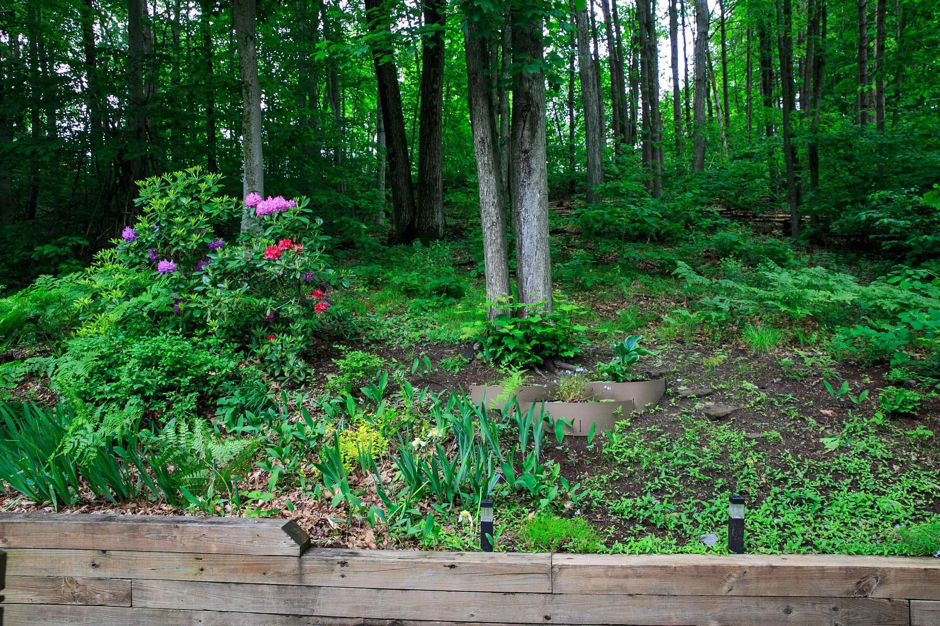 10 Greenbriar Drive Essex VT 05452