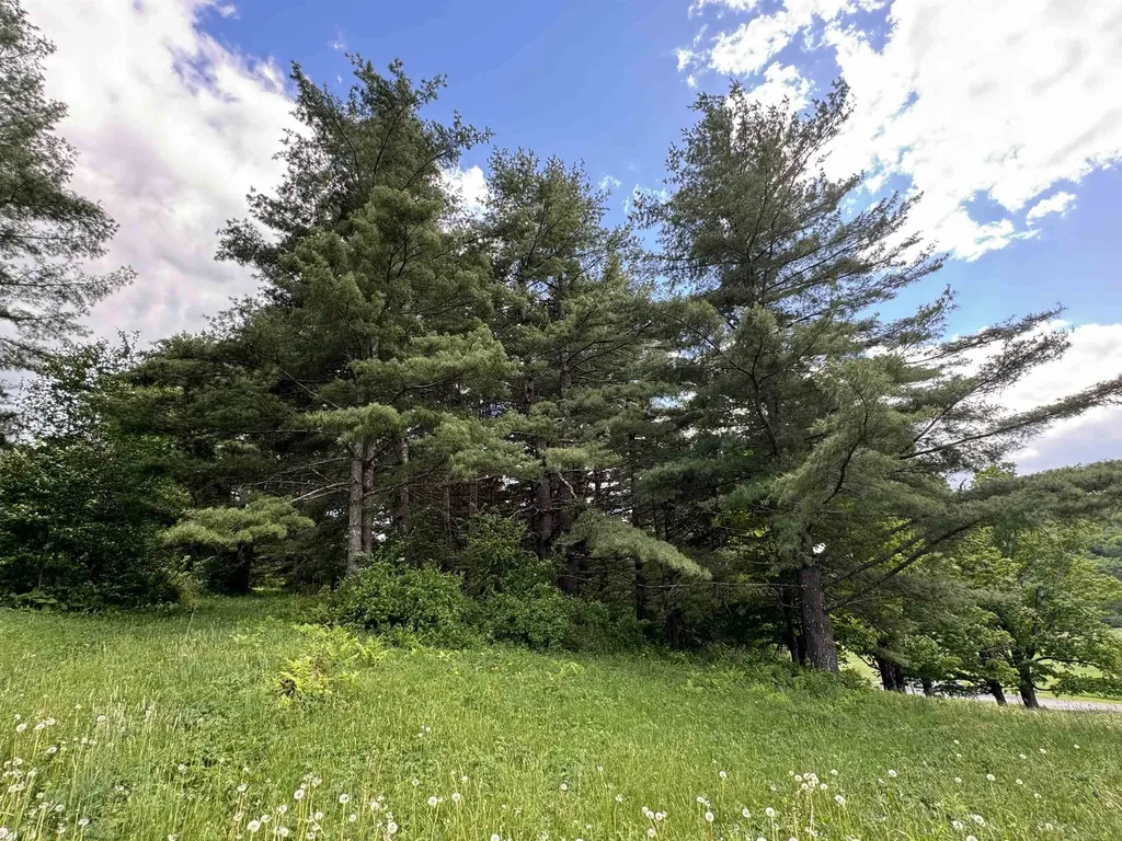 0 Happy Haven Road Wilmington VT 05363