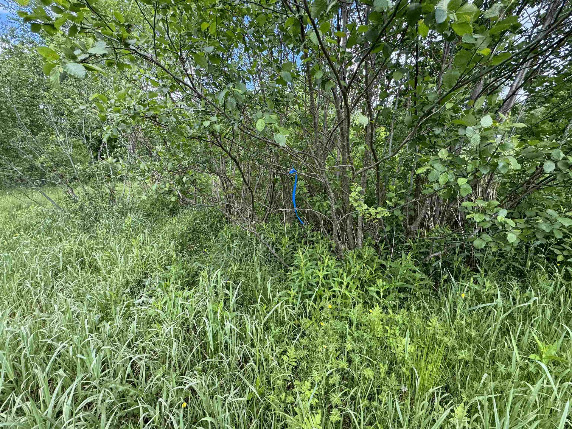 0 Happy Haven Road Wilmington VT 05363