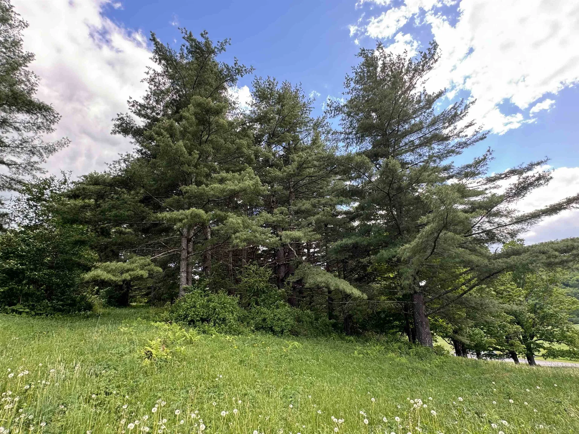 0 Happy Haven Road Wilmington VT 05363