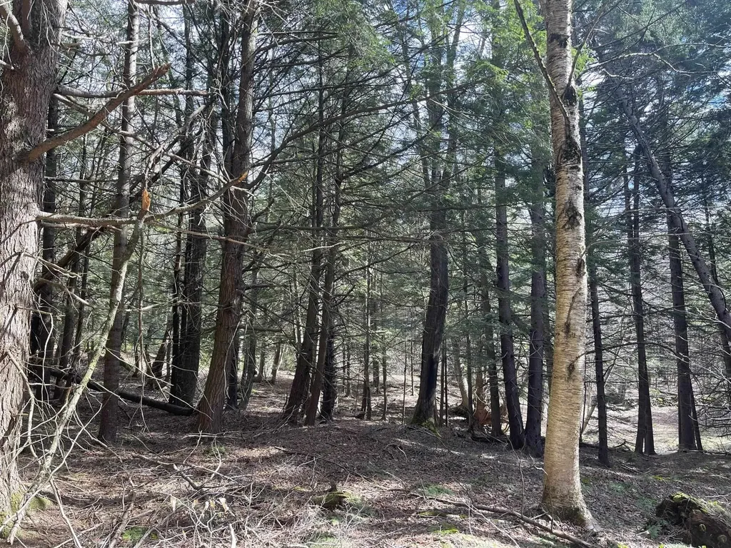 0 Hillside Drive Wilmington VT 05363