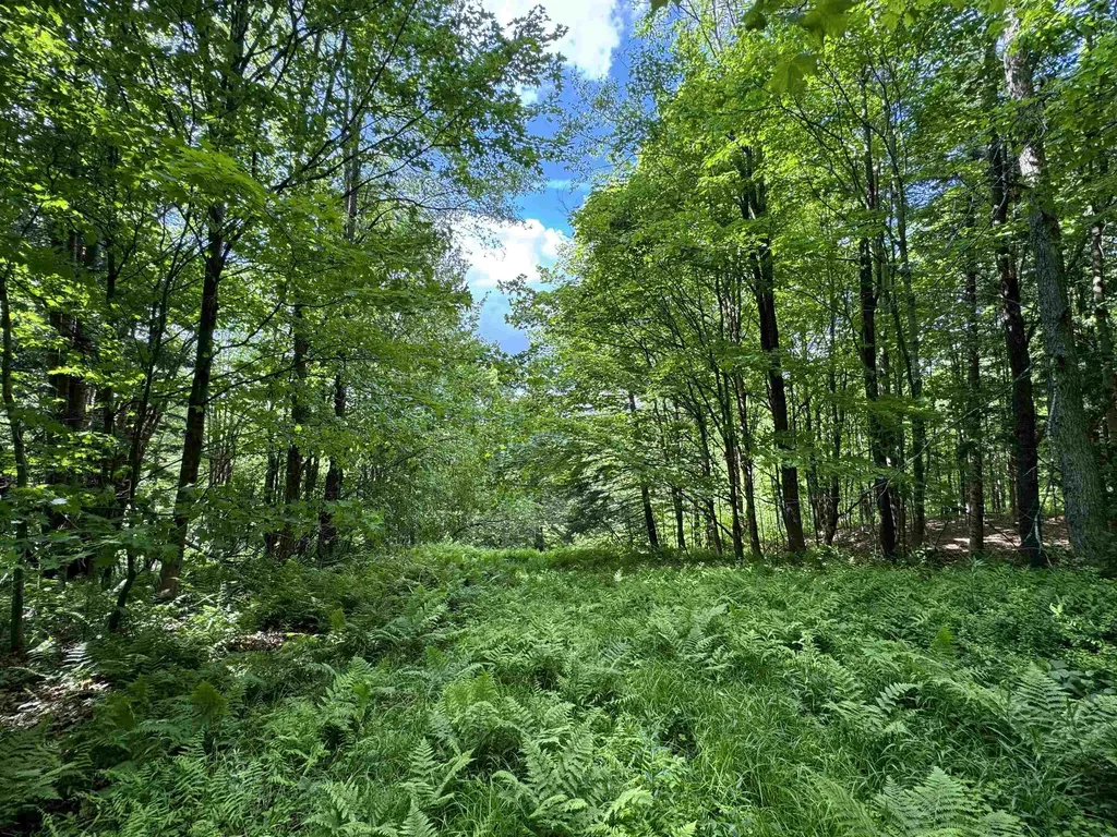 0 Hillside Drive Wilmington VT 05363