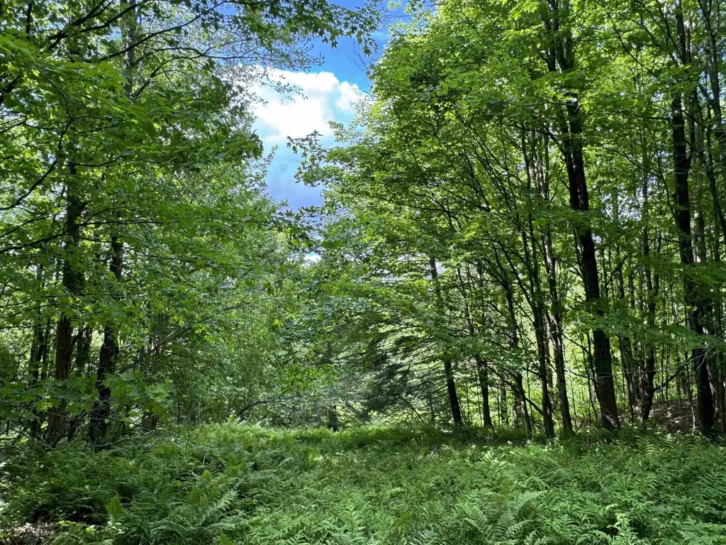 0 Hillside Drive Wilmington VT 05363