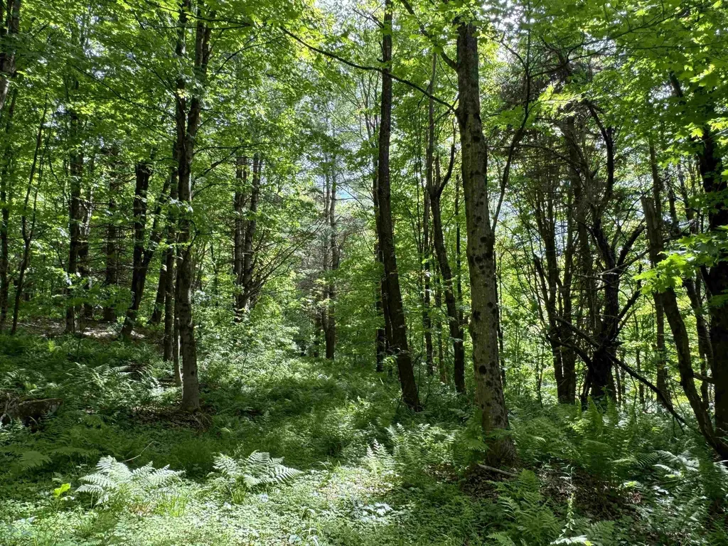 0 Hillside Drive Wilmington VT 05363