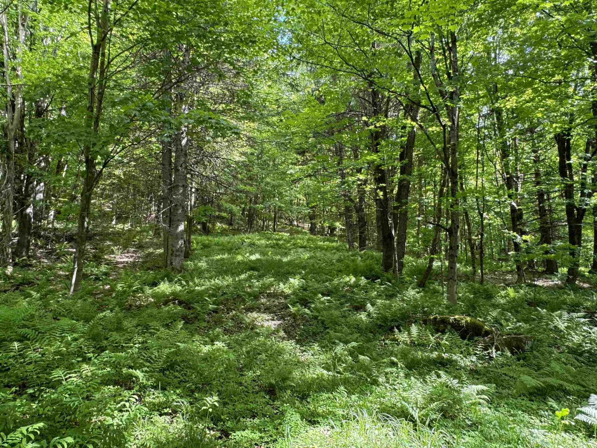 0 Hillside Drive Wilmington VT 05363