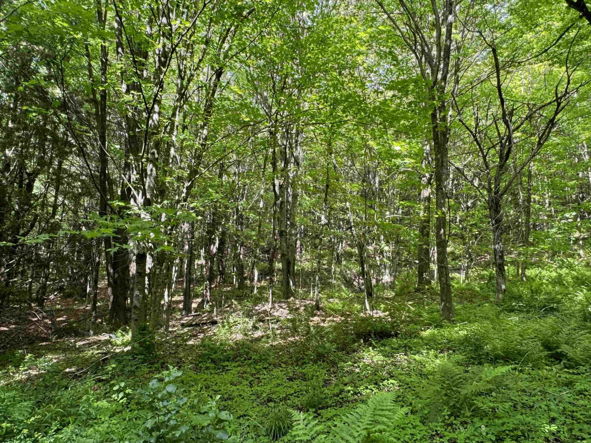 0 Hillside Drive Wilmington VT 05363