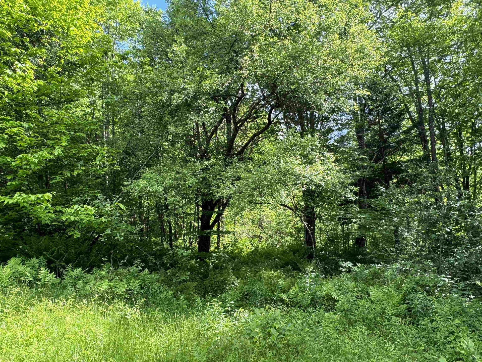 0 Hillside Drive Wilmington VT 05363