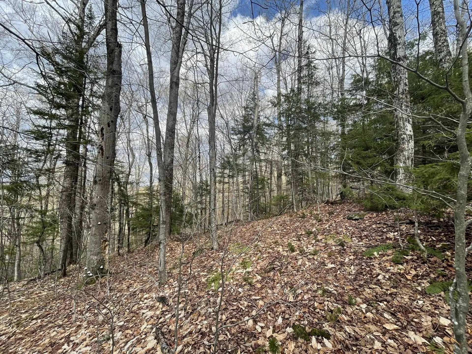 0 Hillside Drive Wilmington VT 05363