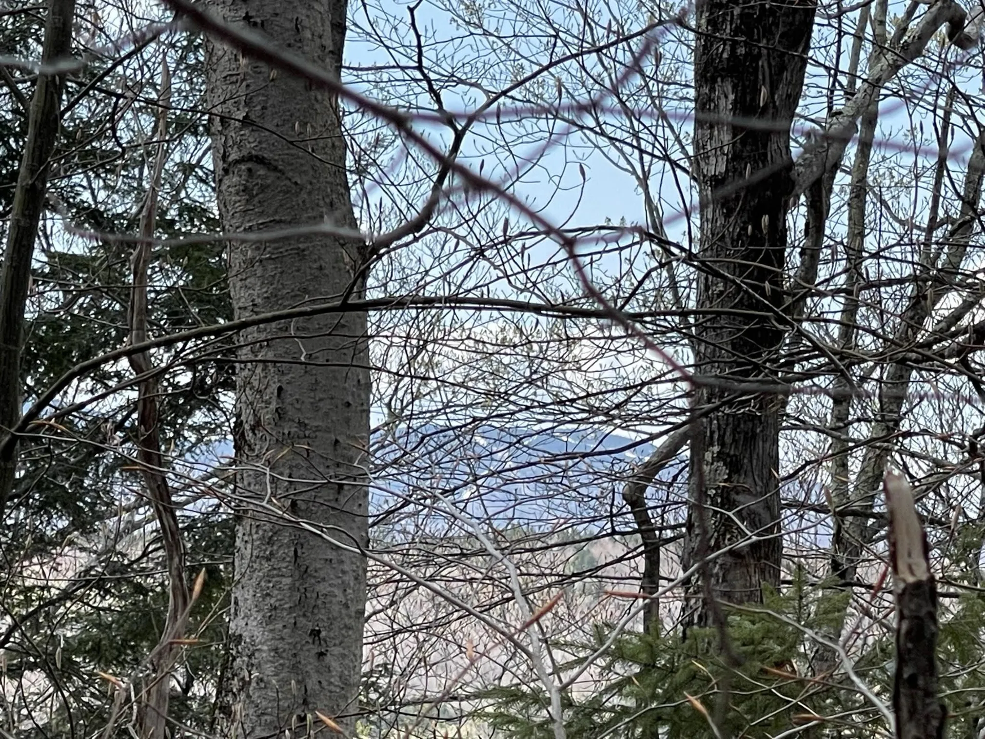 0 Hillside Drive Wilmington VT 05363