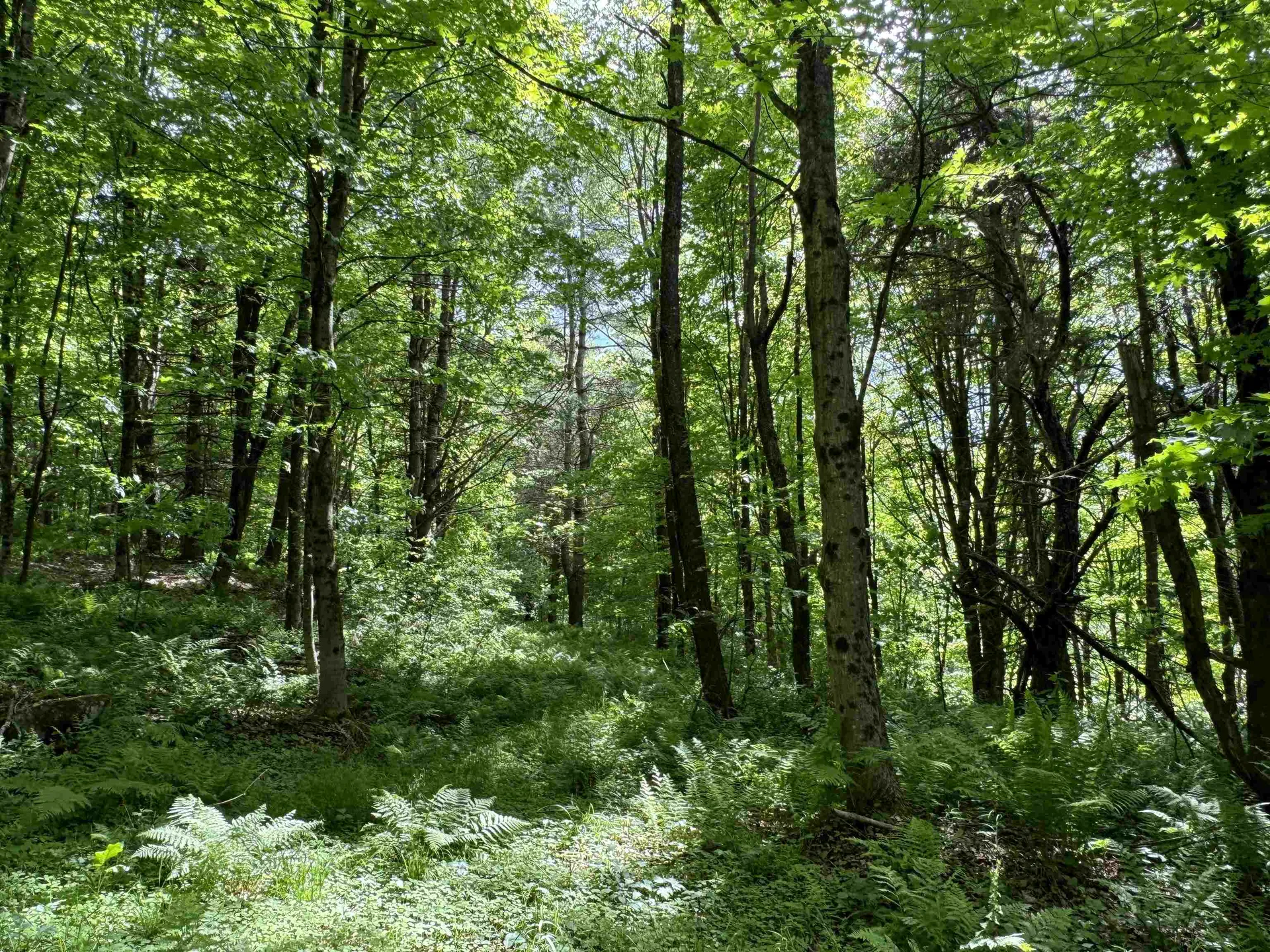 0 Hillside Drive Wilmington VT 05363