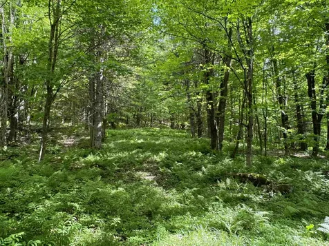 0 Hillside Drive Wilmington VT 05363