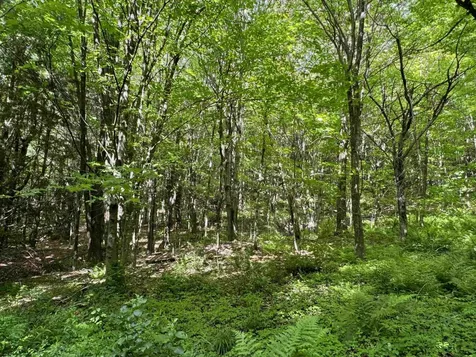 0 Hillside Drive Wilmington VT 05363