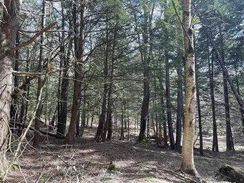 0 Hillside Drive Wilmington VT 05363