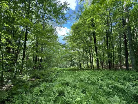 0 Hillside Drive Wilmington VT 05363